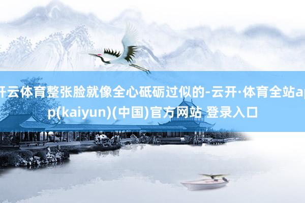 开云体育整张脸就像全心砥砺过似的-云开·体育全站app(kaiyun)(中国)官方网站 登录入口