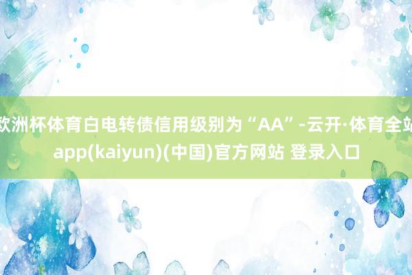 欧洲杯体育白电转债信用级别为“AA”-云开·体育全站app(kaiyun)(中国)官方网站 登录入口